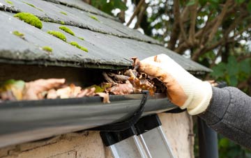 gutter cleaning Polnessan, East Ayrshire
